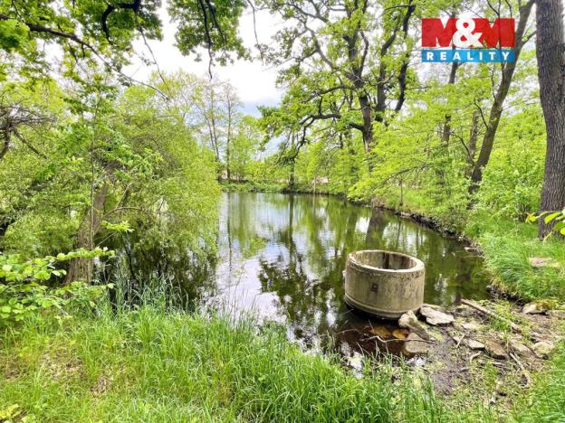 Prodej rybníku, Žulová, 7142 m2