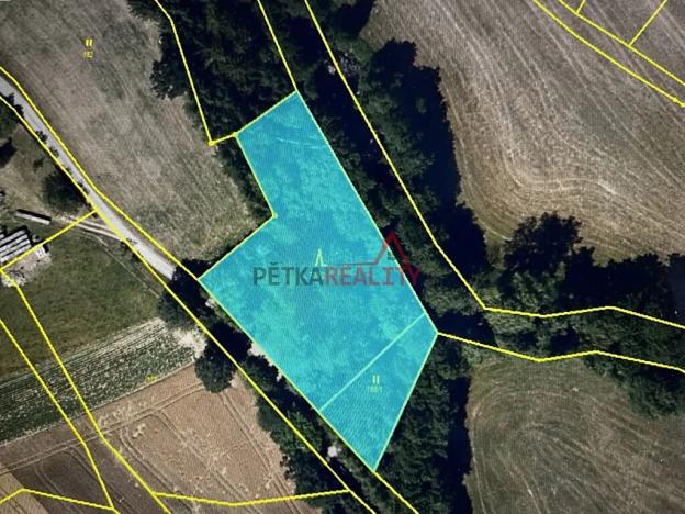 Prodej lesa, Jeřišno, 2804 m2