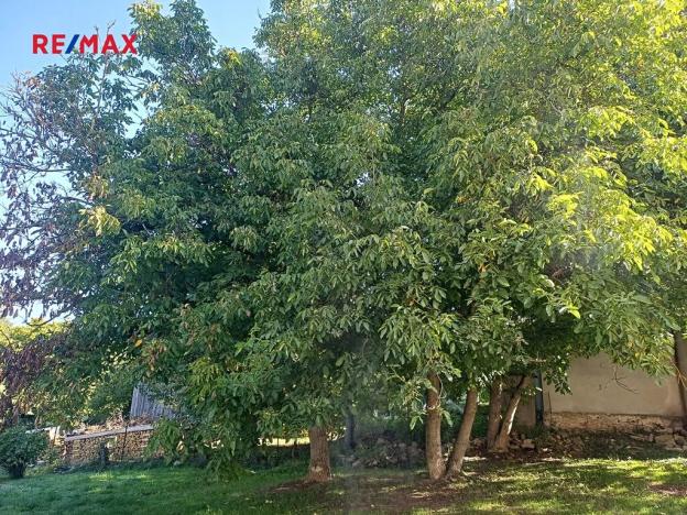 Prodej rodinného domu, Třemešné, 200 m2