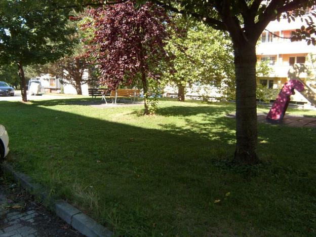 Prodej bytu 2+kk, Vysoké Mýto - Pražské Předměstí, Pivovarská, 44 m2