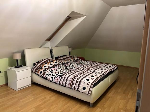 Prodej rodinného domu, Letkov, Stříbrná, 400 m2