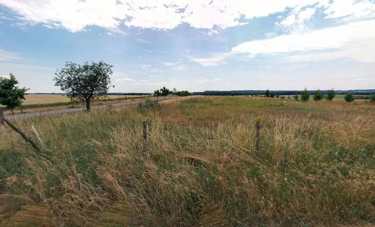 Prodej zahrady, Maršov, 31902 m2