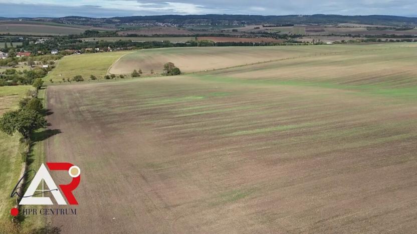 Prodej pole, Velešovice, 1567 m2