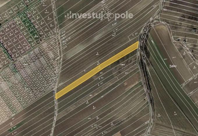 Prodej pole, Čejkovice, 1956 m2