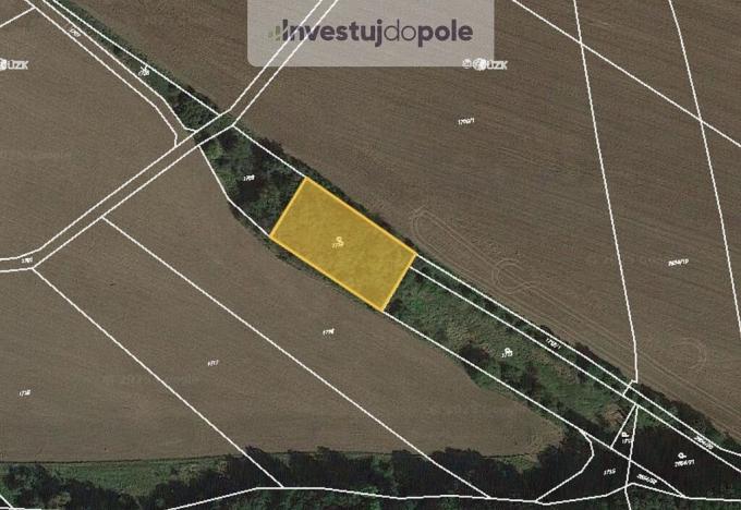 Prodej pole, Přeštice, 1558 m2