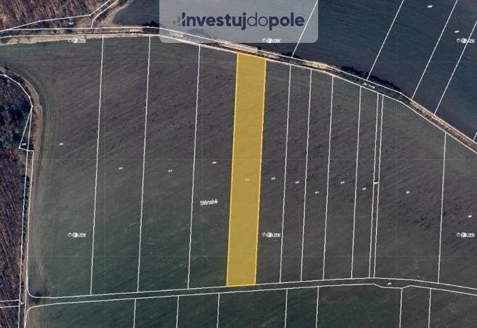 Prodej pole, Choťovice, 6966 m2
