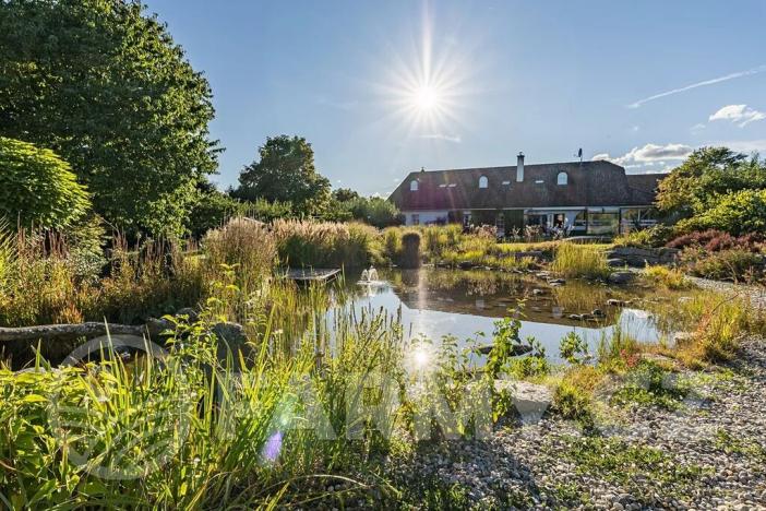 Prodej zemědělské usedlosti, Březnice, 300 m2