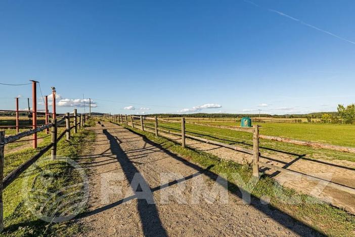 Prodej zemědělské usedlosti, Březnice, 300 m2