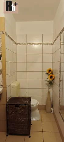 Pronájem bytu 1+kk, Ostrava, U Parku, 25 m2