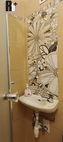 Pronájem bytu 1+kk, Ostrava, U Parku, 25 m2