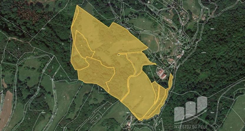 Prodej louky, Děčín - Děčín XXVI-Bechlejovice, 123694 m2
