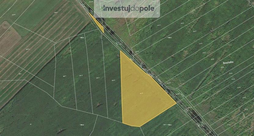 Prodej pole, Štítov, 11770 m2