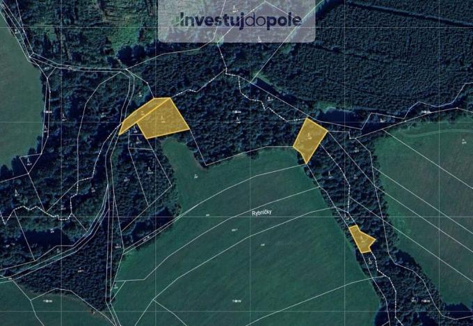 Prodej lesa, Prosíčka - Dolní Prosíčka, 2834 m2
