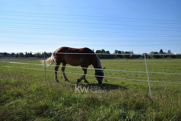 Prodej rodinného domu, Praha - Suchdol, Bažantní, 173 m2