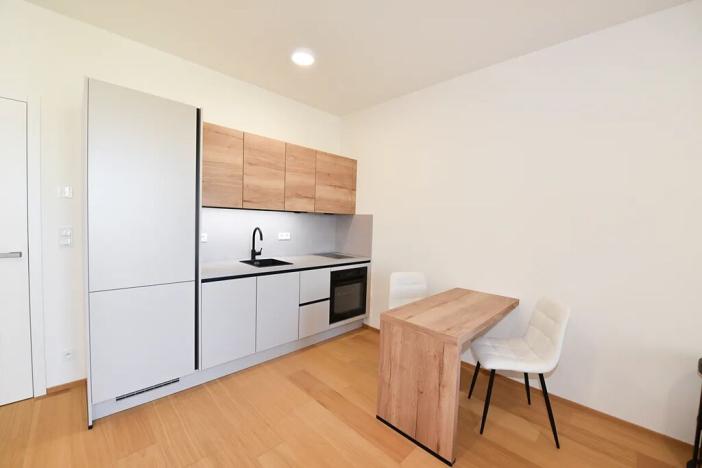Pronájem bytu 1+kk, Praha - Hrdlořezy, V třešňovce, 40 m2