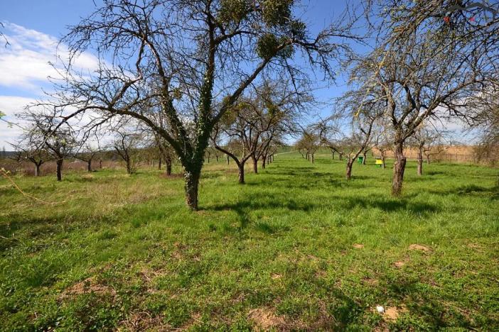 Prodej zahrady, Bučovice, 363 m2