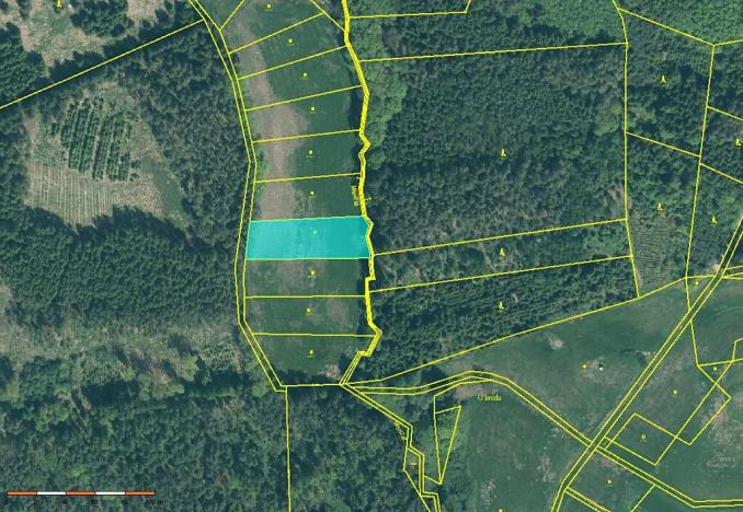 Prodej louky, Velká Turná, 2199 m2