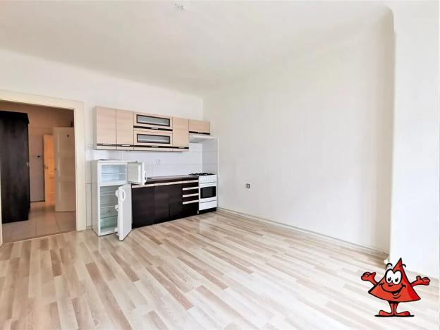 Pronájem bytu 1+1, Praha - Žižkov, Buchovcova, 53 m2