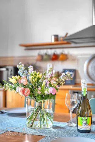 Prodej bytu 4+kk, Praha - Zbraslav, Jaromíra Vejvody, 149 m2