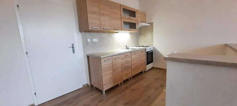 Prodej bytu 1+kk, Orlová, F. S. Tůmy, 33 m2
