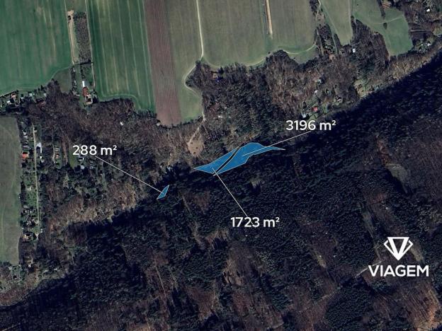 Prodej podílu lesa, Chyňava, 2603 m2