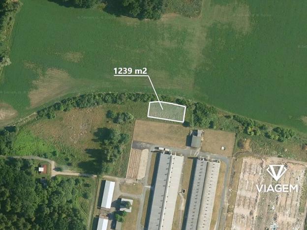 Prodej pole, Lipec, 1239 m2