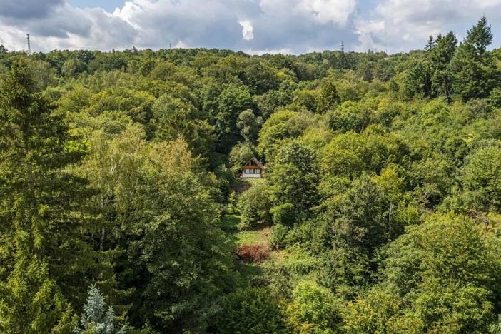 Prodej pozemku pro bydlení, Jílové u Prahy, Husova, 3117 m2