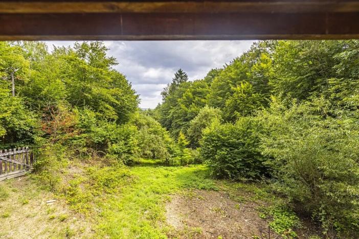 Prodej chaty, Jílové u Prahy, Husova, 74 m2