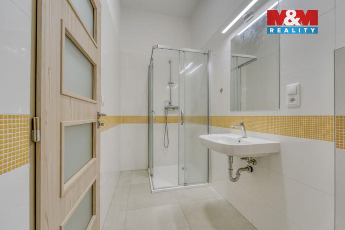 Pronájem bytu 1+kk, Plzeň - Jižní Předměstí, Americká, 59 m2