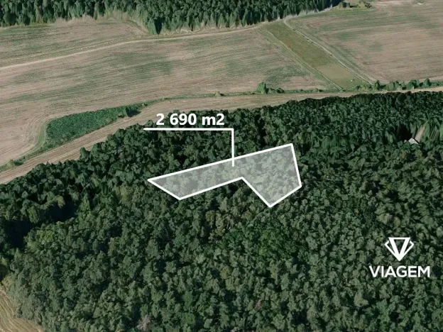 Prodej podílu lesa, Hrdlív, 807 m2