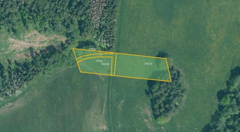 Prodej louky, Cerhonice, 41957 m2