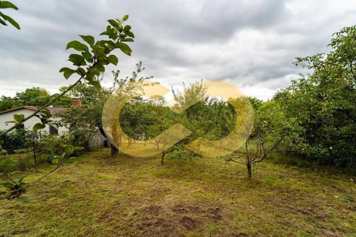 Prodej zahrady, Plzeň, Guldenerova, 731 m2