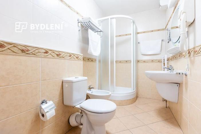 Prodej bytu 3+kk, Teplice, U Nových lázní, 91 m2