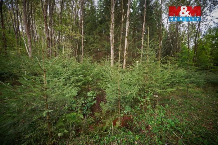 Prodej pozemku pro bydlení, Trutnov - Nový Rokytník, 1788 m2