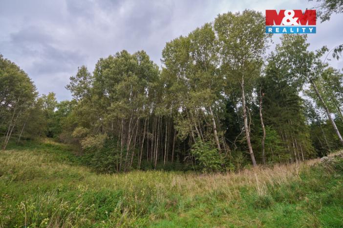 Prodej pozemku pro bydlení, Trutnov - Nový Rokytník, 1788 m2