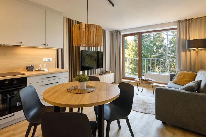 Prodej bytu 2+kk, Loučná pod Klínovcem, 31 m2