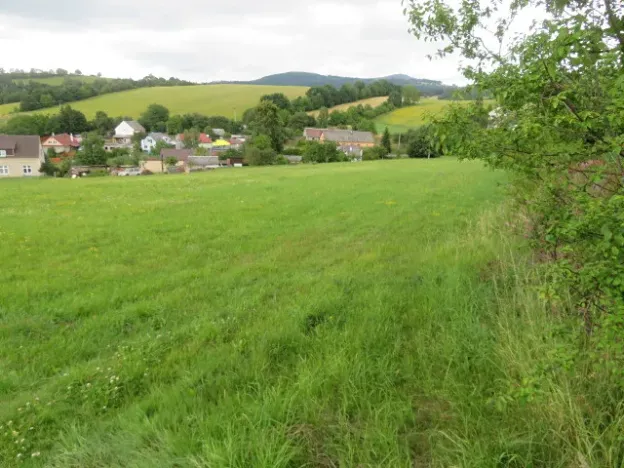 Dražba lesa, Hrabišín, 23811 m2