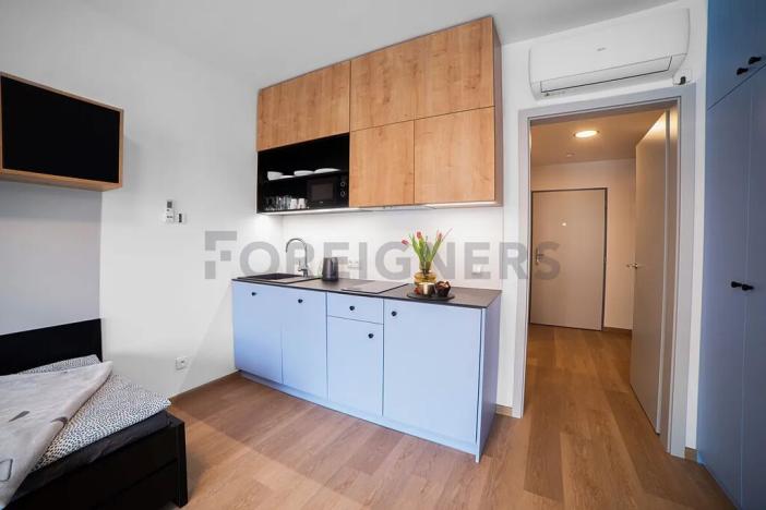 Pronájem bytu 1+kk, Olomouc, Edmunda Husserla, 29 m2