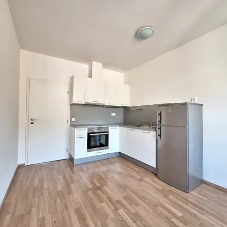 Pronájem bytu 1+1, Praha - Smíchov, Podbělohorská, 45 m2