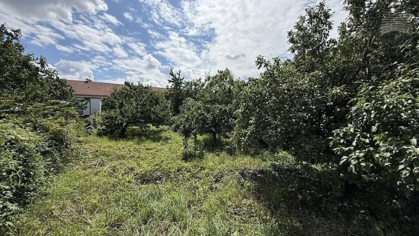 Prodej vinného sklepa, Dolní Věstonice, 54 m2