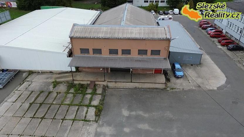 Pronájem skladu, Ostrava, Výškovická, 740 m2