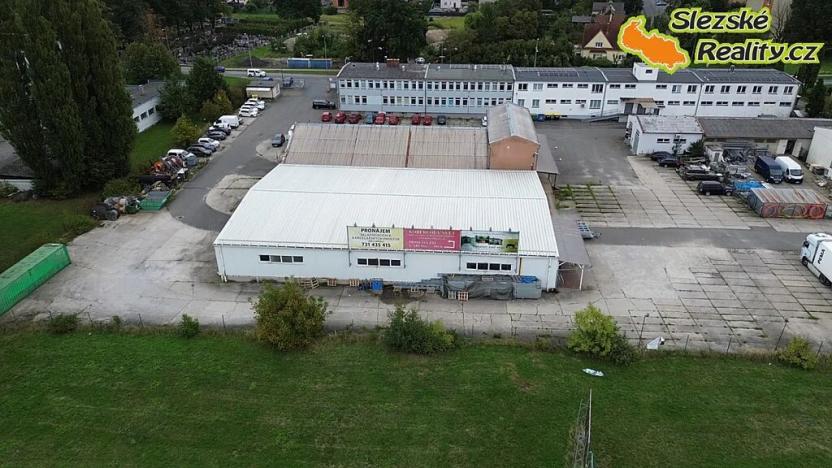 Pronájem skladu, Ostrava, Výškovická, 740 m2