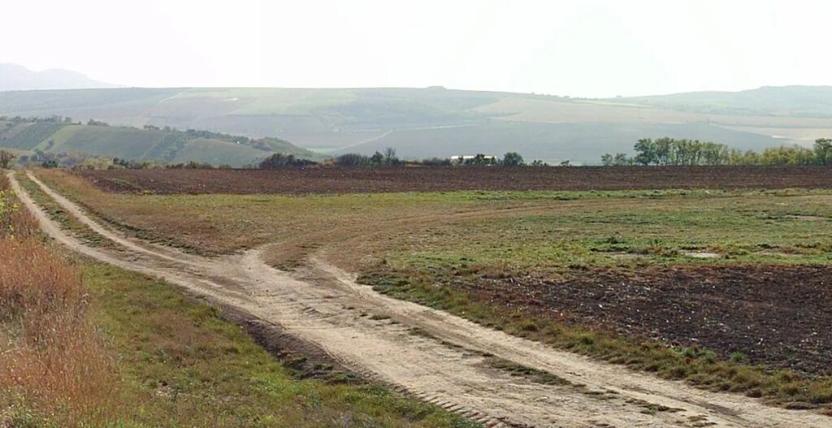 Prodej pole, Velké Němčice, 3000 m2