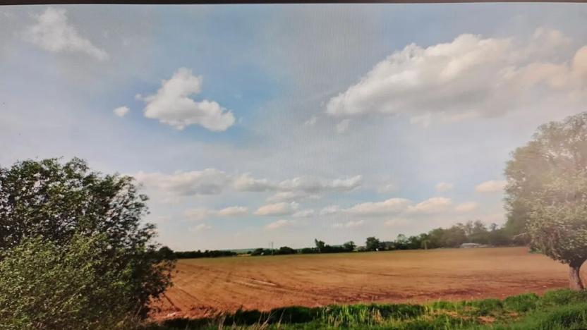 Prodej pole, Bříství, 8600 m2