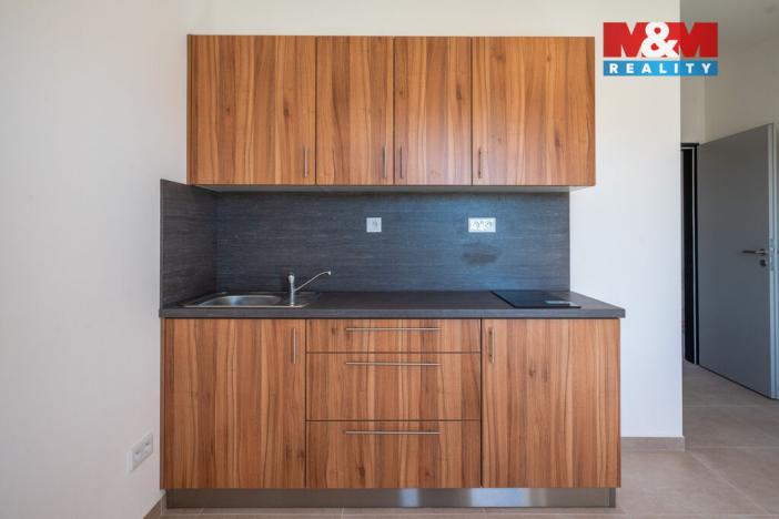 Pronájem bytu 1+kk, Radošovice, 18 m2