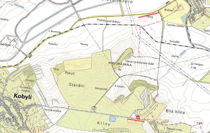 Prodej sadu/vinice, Kobylí, 6008 m2