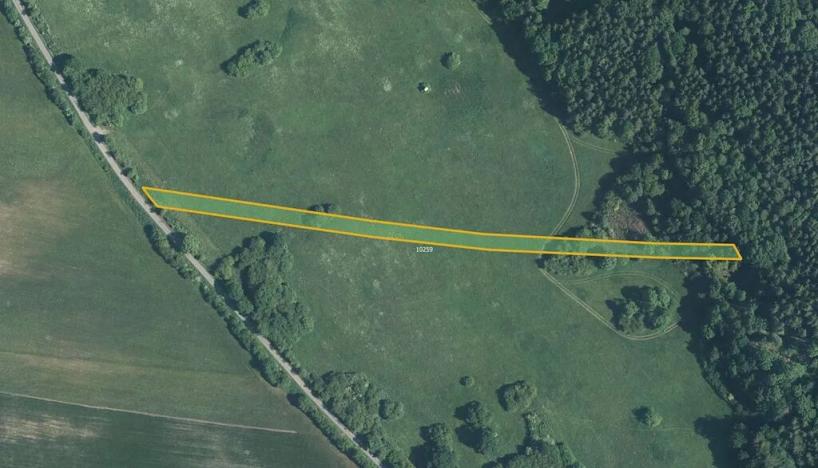 Prodej pole, Javorník, 6504 m2