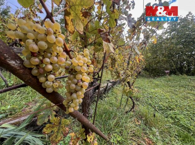 Prodej zahrady, Litoměřice - Litoměřice-Město, 1686 m2