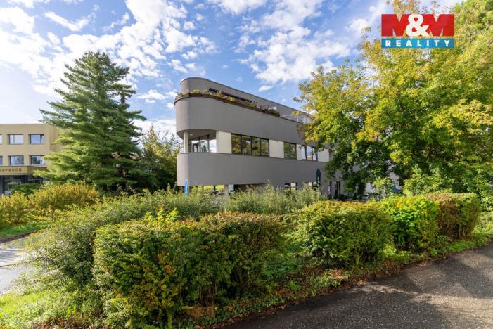 Prodej bytu 2+kk, Olomouc, Wellnerova, 75 m2