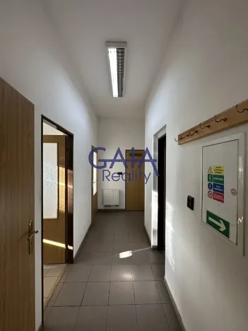 Pronájem obchodního prostoru, Louka, 597 m2